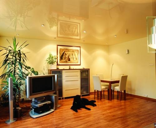 Все о разных типах потолков. Виды потолков. Побелка, покраска, оклейка обоями. Клеевые, подвесные, гипсокартонные, кассетные, реечные, натяжные и подшивные конструкции 06 Все о разных типах потолков. Виды потолков. Побелка, покраска, оклейка обоями. Клеевые, подвесные, гипсокартонные, кассетные, реечные, натяжные и подшивные конструкции 06