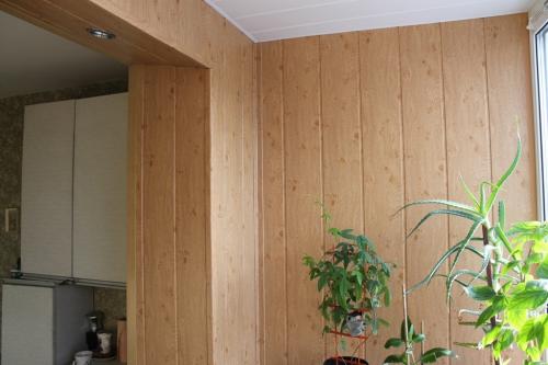 Отделка кухни пластиковыми панелями своими руками. Дизайн кухни с пластиковыми панелями