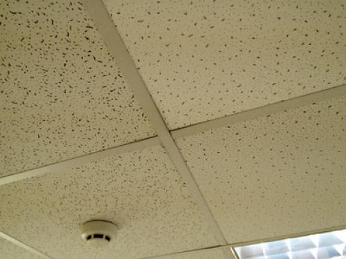 Купить потолок из оргстекла. Светопропускающие потолки из оргстекла 02