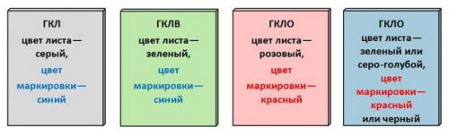 Этапы установки гипсокартона на стену и основные нюансы. Пошаговая инструкция по возведению стены 02 Этапы установки гипсокартона на стену и основные нюансы. Пошаговая инструкция по возведению стены 02