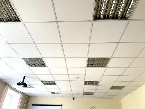 Что такое армстронг. Потолочные панели армстронг: технические характеристики.