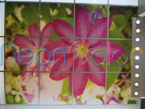 Размеры светильников армстронг. Подсветка подвесных потолков типа «Армстронг»