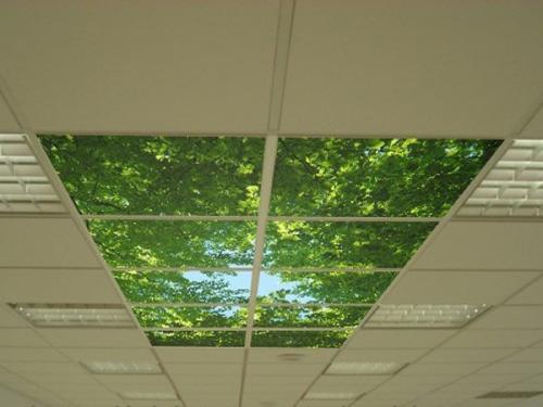 Размеры светильников армстронг. Подсветка подвесных потолков типа «Армстронг»