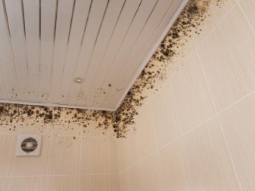 Как крепить панели ПВХ на стену. Как приклеить на жидкие гвозди? 04 Как крепить панели ПВХ на стену. Как приклеить на жидкие гвозди? 04