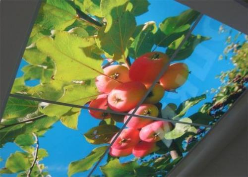 Монтаж профиля для натяжных потолков своими руками. Какие натяжные потолки можно сделать своими руками 02 Монтаж профиля для натяжных потолков своими руками. Какие натяжные потолки можно сделать своими руками 02