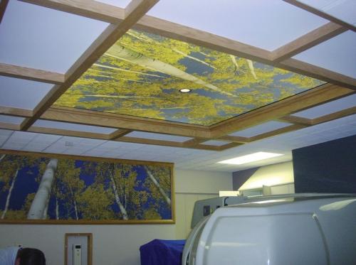 Натяжные потолки страна производитель. Страна производитель полотна для натяжного потолка — Франция