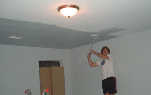 Какие бывают подвесные потолки. Покраска или побелка потолков 01